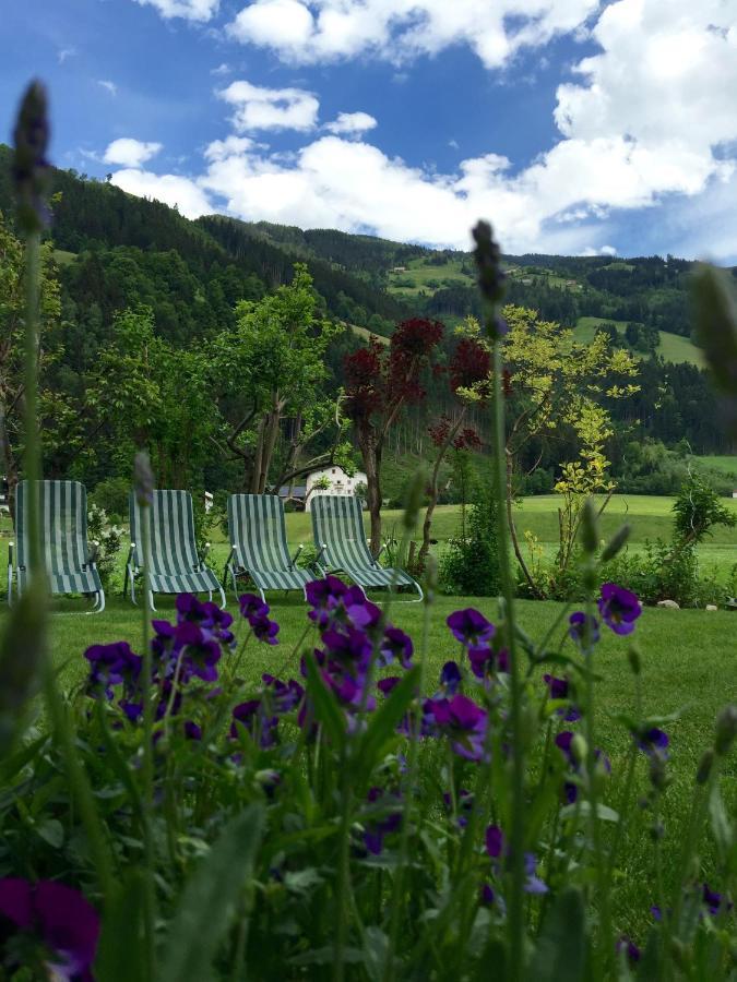 Appartements St. Leonhard Aschau Im Zillertal Экстерьер фото