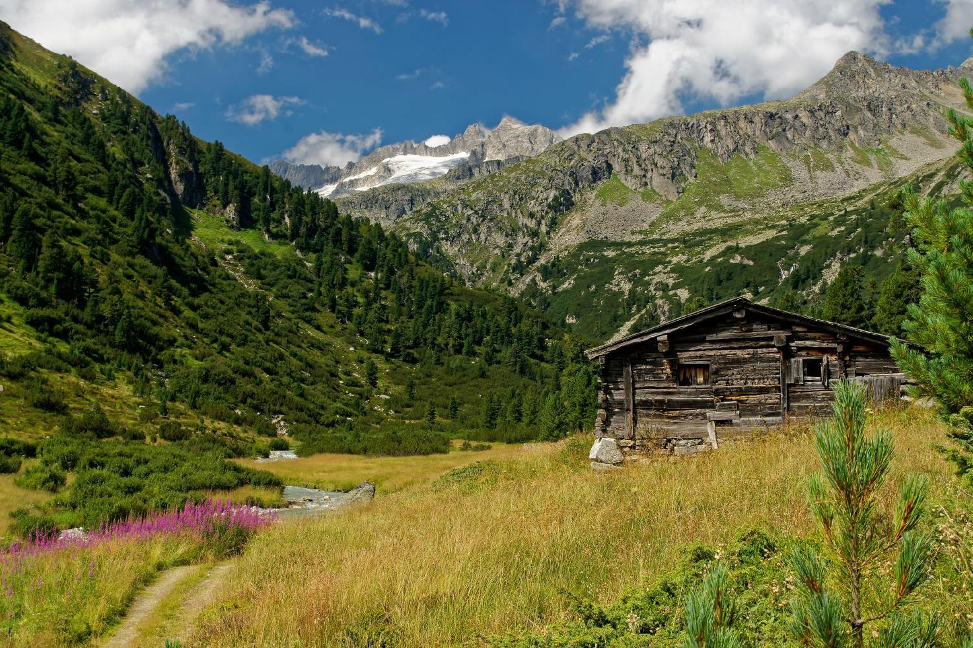 Appartements St. Leonhard Aschau Im Zillertal Экстерьер фото